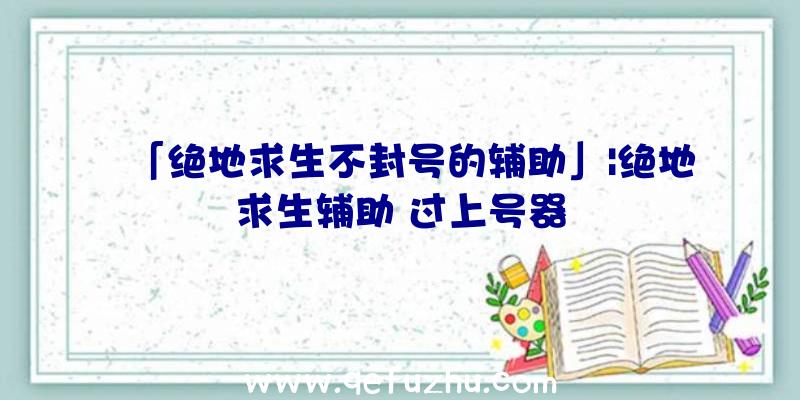 「绝地求生不封号的辅助」|绝地求生辅助